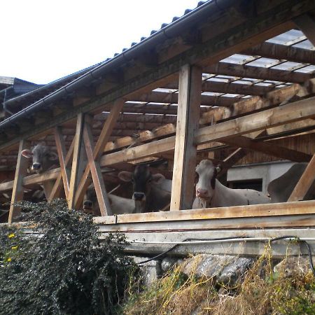 Weberhof Βίλα Trins Εξωτερικό φωτογραφία