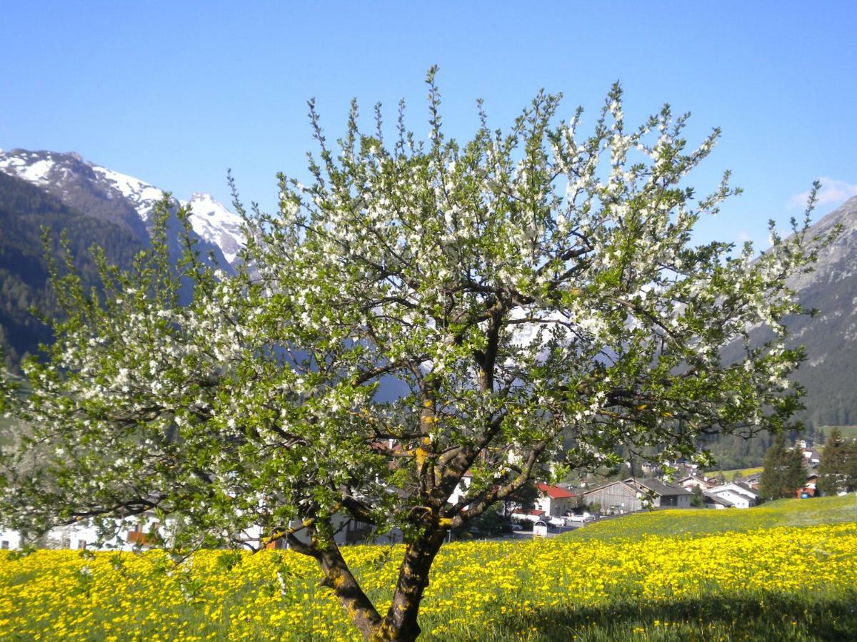 Weberhof Βίλα Trins Εξωτερικό φωτογραφία