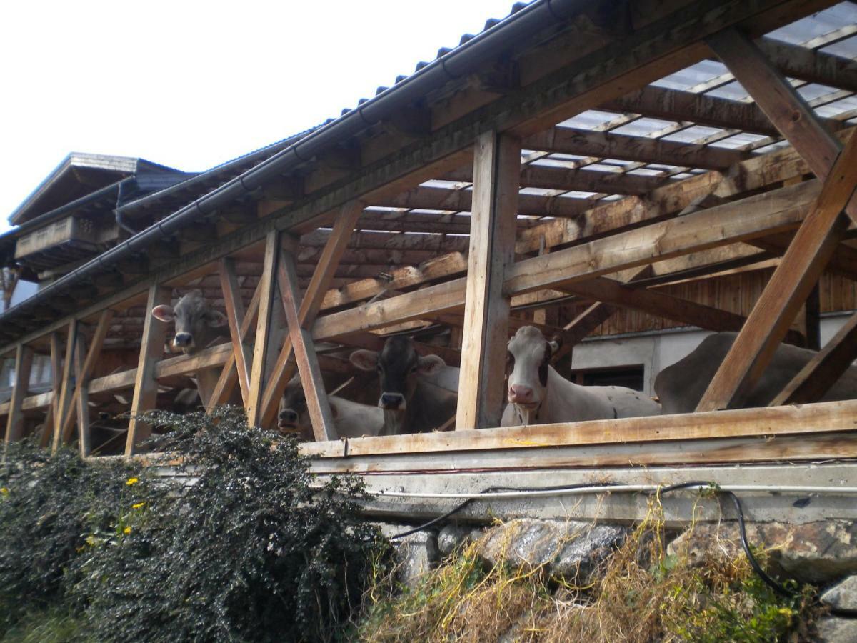 Weberhof Βίλα Trins Εξωτερικό φωτογραφία